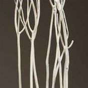 mitsumata-branches-decorative
