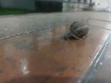 IMAG0820.jpg