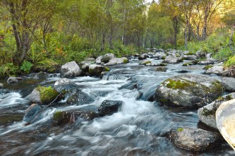 fast-flowing-river.jpg