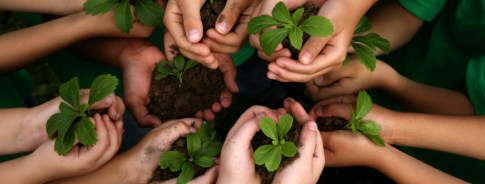 kids-hands-holding-plants-yolo-farm-to-fork-845x321