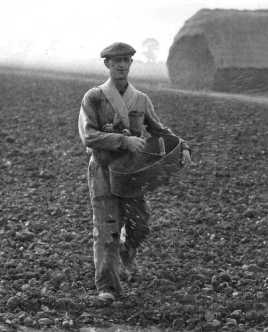 seedsow