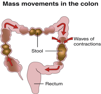 bowel+movements